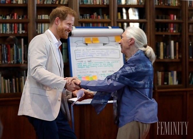 Nedávno vystúpil princ Harry v televízii, kde s ním robila rozhovor ochranárka Jane Goodall a princ prezradil toto