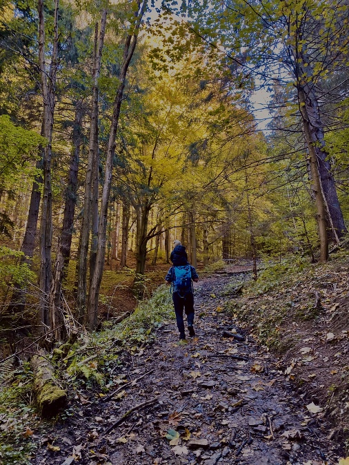 Nenáročná prechádzka pre všetky vekové kategória s krásnymi výhľadmi na Nízke Tatry,