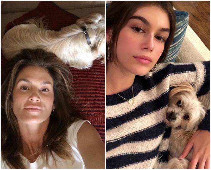 Domáceho miláčika miluje Cindy Crawford rovnako ako Kaia Gerber