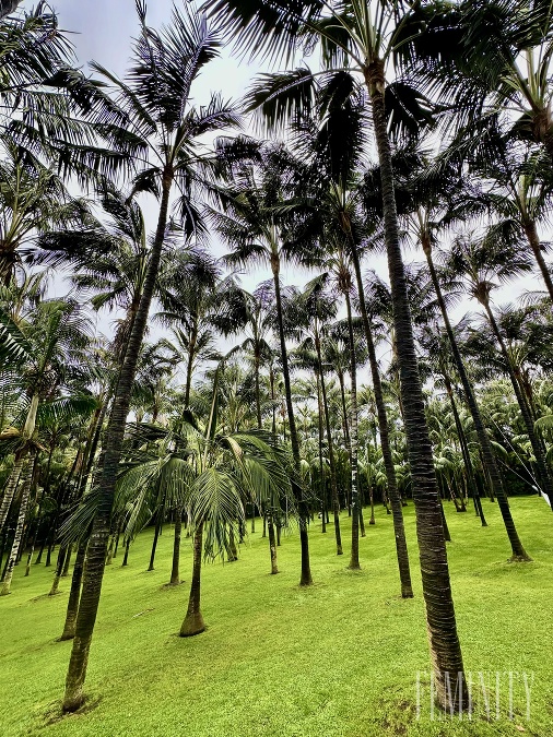 Nádherný Loro Park