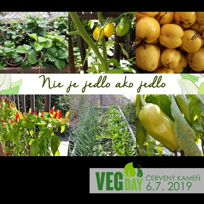 VegDay - celodenné podujatie