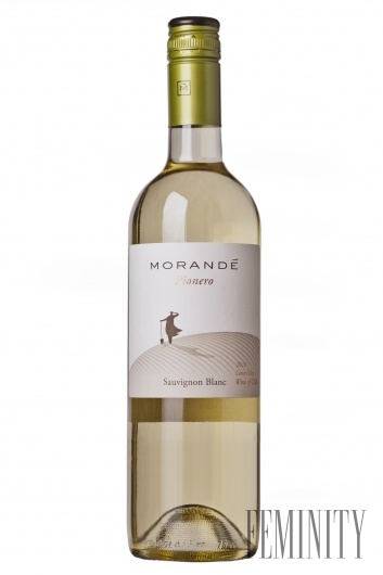 Sauvignon Blanc Pionero (Vina Morandé, 2010)