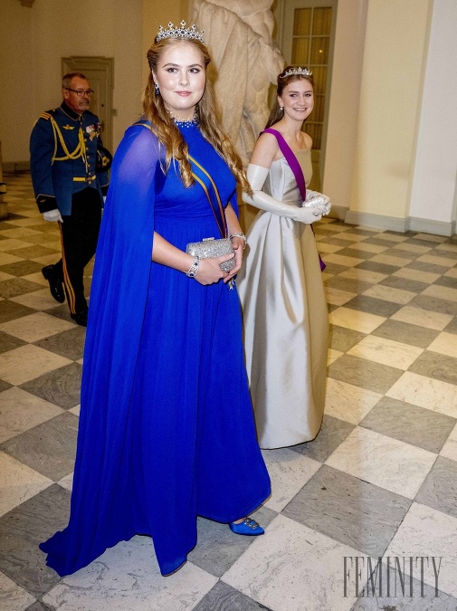 Dnes 20-ročná holandská princezná Catharina-Amalia, najstaršia z troch dcér svojho otca kráľa, je zároveň princeznou z Orangeu. 