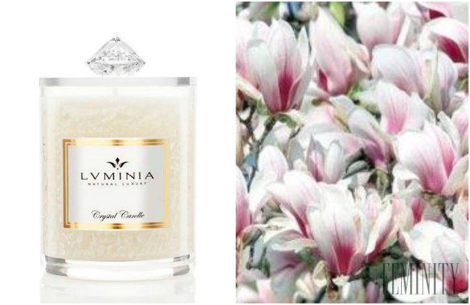 Magnolia & Tuberose